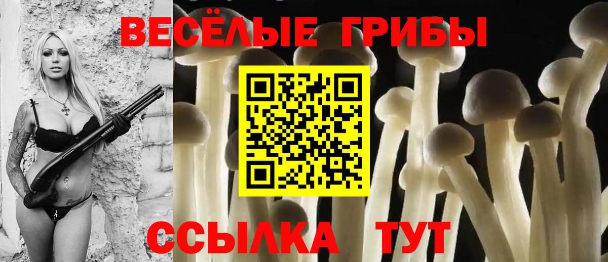 Краснокамск  Псилоцибиновые грибы ЛСД  Вход с VPN 