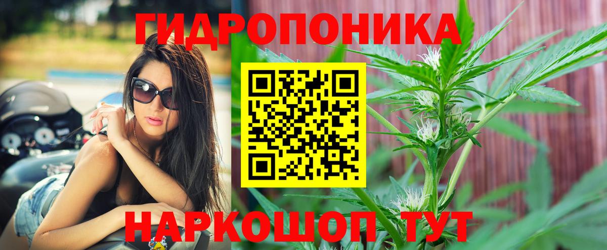 Конопля планчик  Канабис THC 21%  Краснокамск  МАРИХУАНА семена  Вход с VPN  Конопля White Widow 